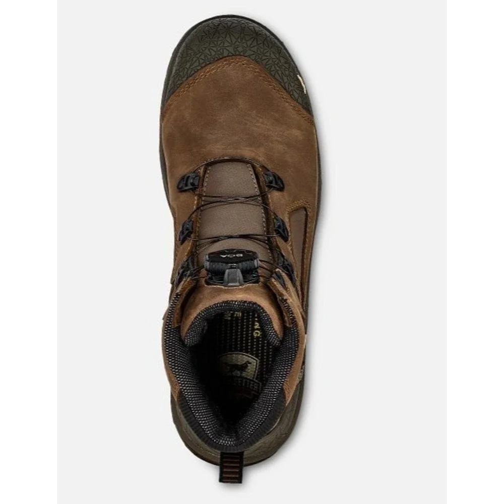 Irish Setter irish setter